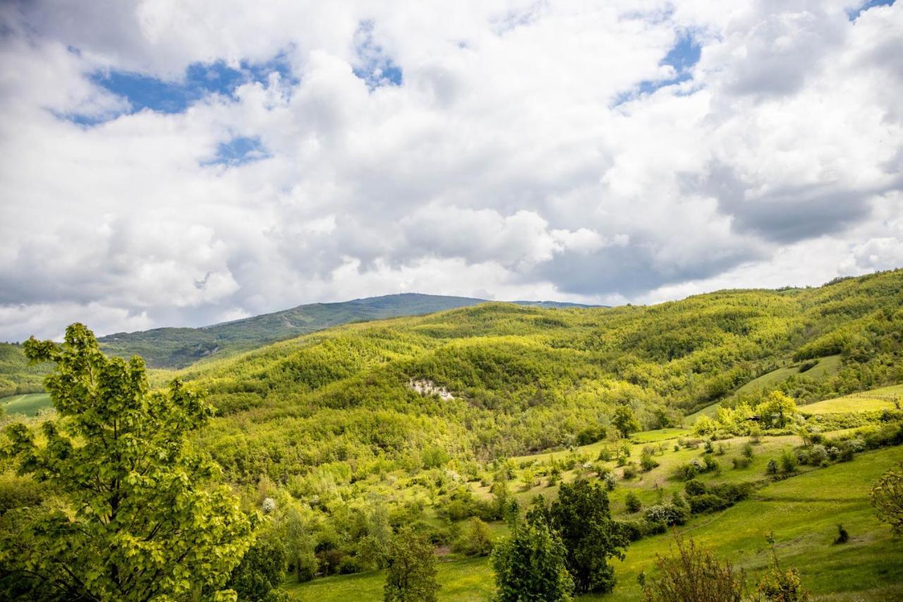 Nido D'Amore Nei Colori Dernice Экстерьер фото