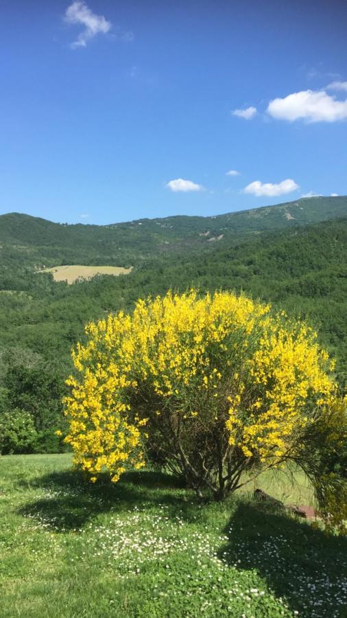 Nido D'Amore Nei Colori Dernice Экстерьер фото